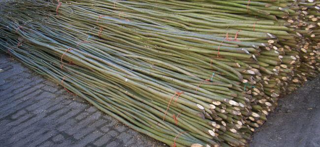 Losse Wilgentenen Kopen Wilhout