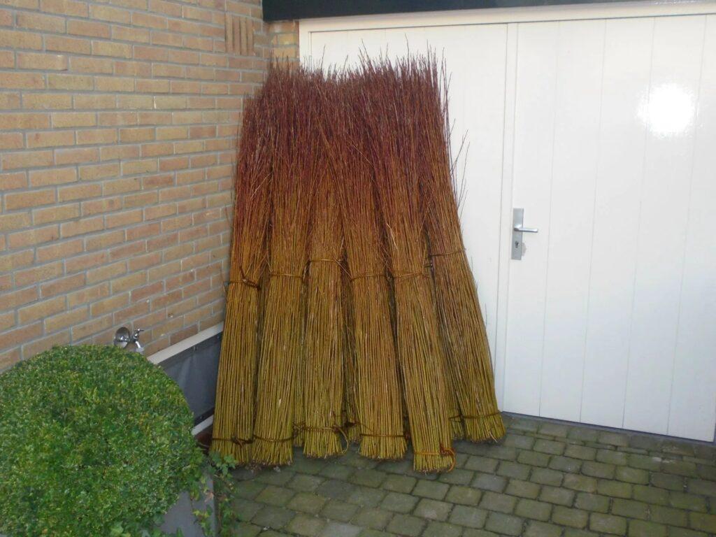 Het oogsten van de wilgentenen is weer begonnen