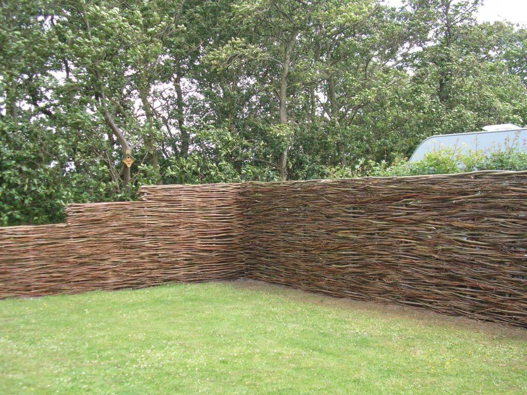 Wilgentenen Kopen en wat zijn de mogelijkheden