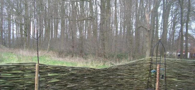 wilhout-wilgentenenschutting (57)